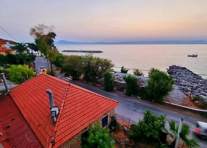 Beachhouse Apartamento *